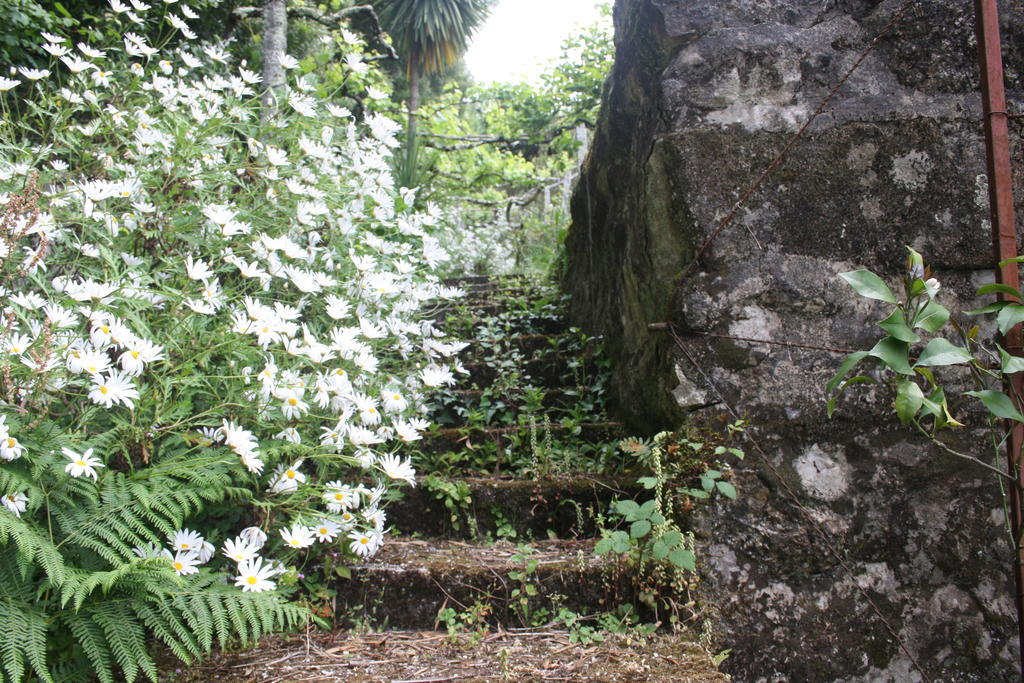 Quinta Das Leiras Santo Tirso Buitenkant foto