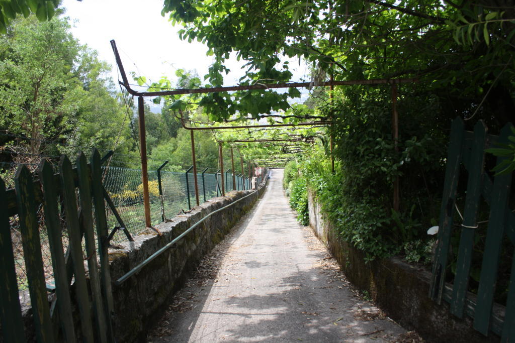 Quinta Das Leiras Santo Tirso Buitenkant foto