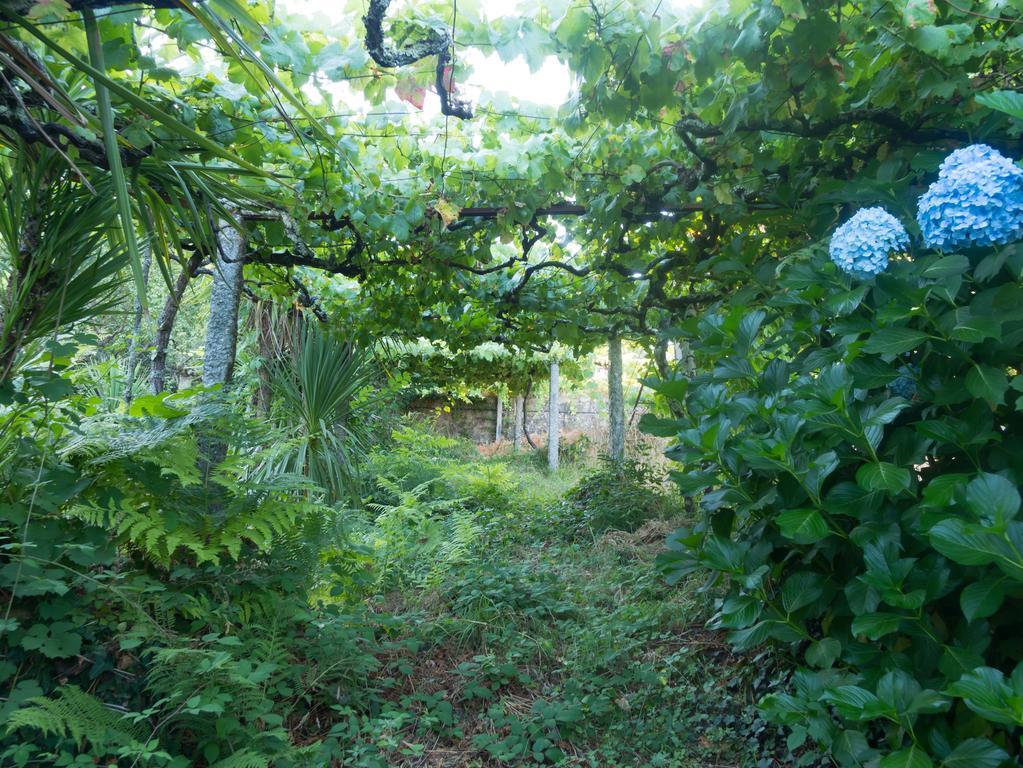 Quinta Das Leiras Santo Tirso Buitenkant foto