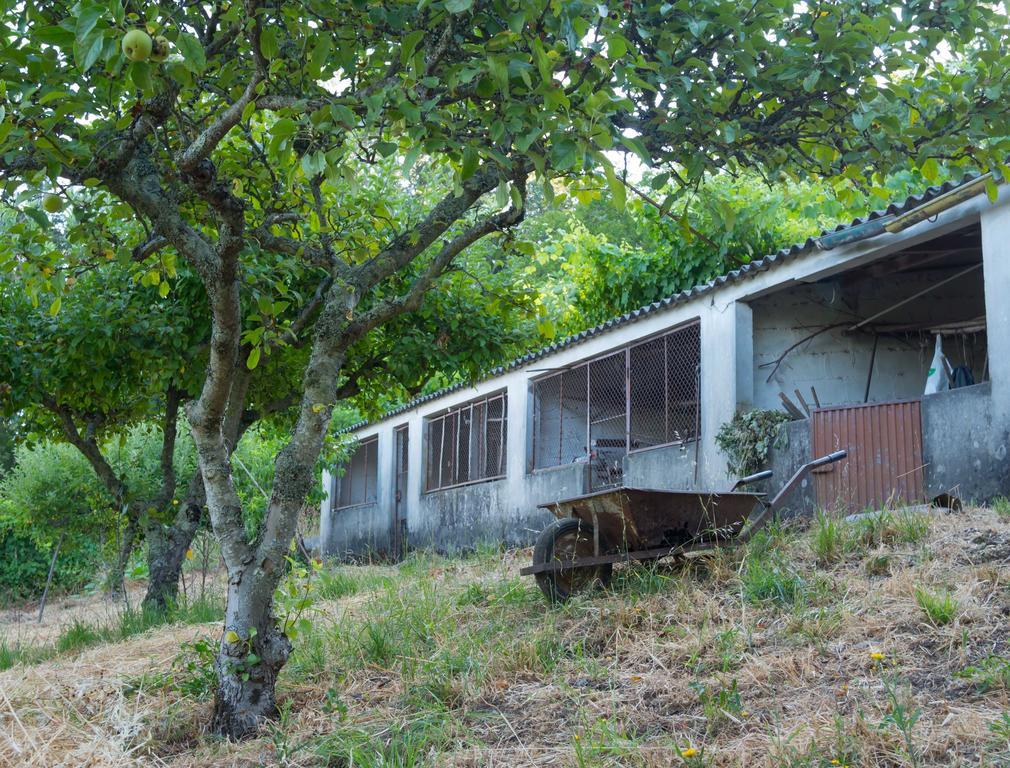 Quinta Das Leiras Santo Tirso Buitenkant foto