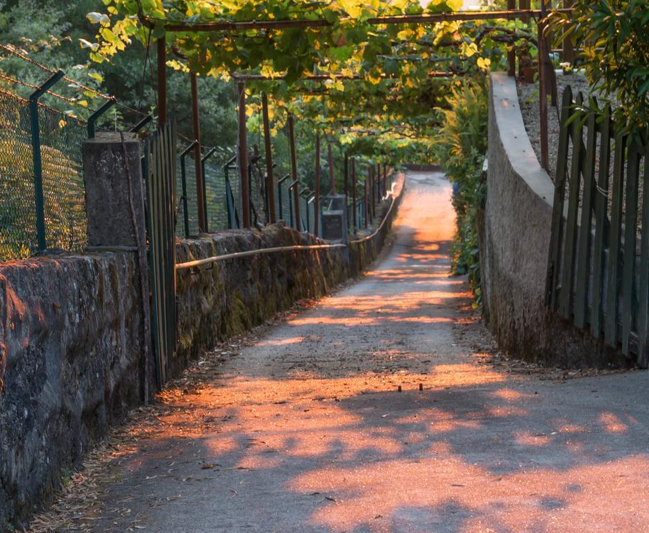 Quinta Das Leiras Santo Tirso Buitenkant foto
