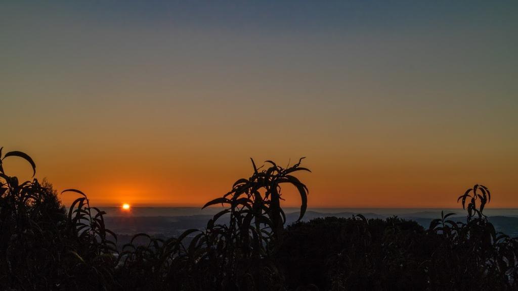 Quinta Das Leiras Santo Tirso Buitenkant foto